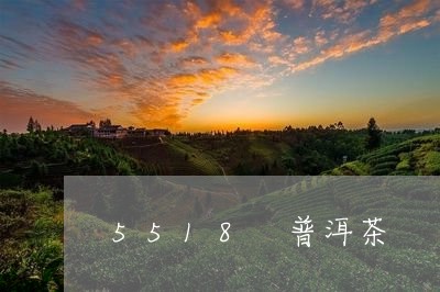 5518 普洱茶/2023031728580